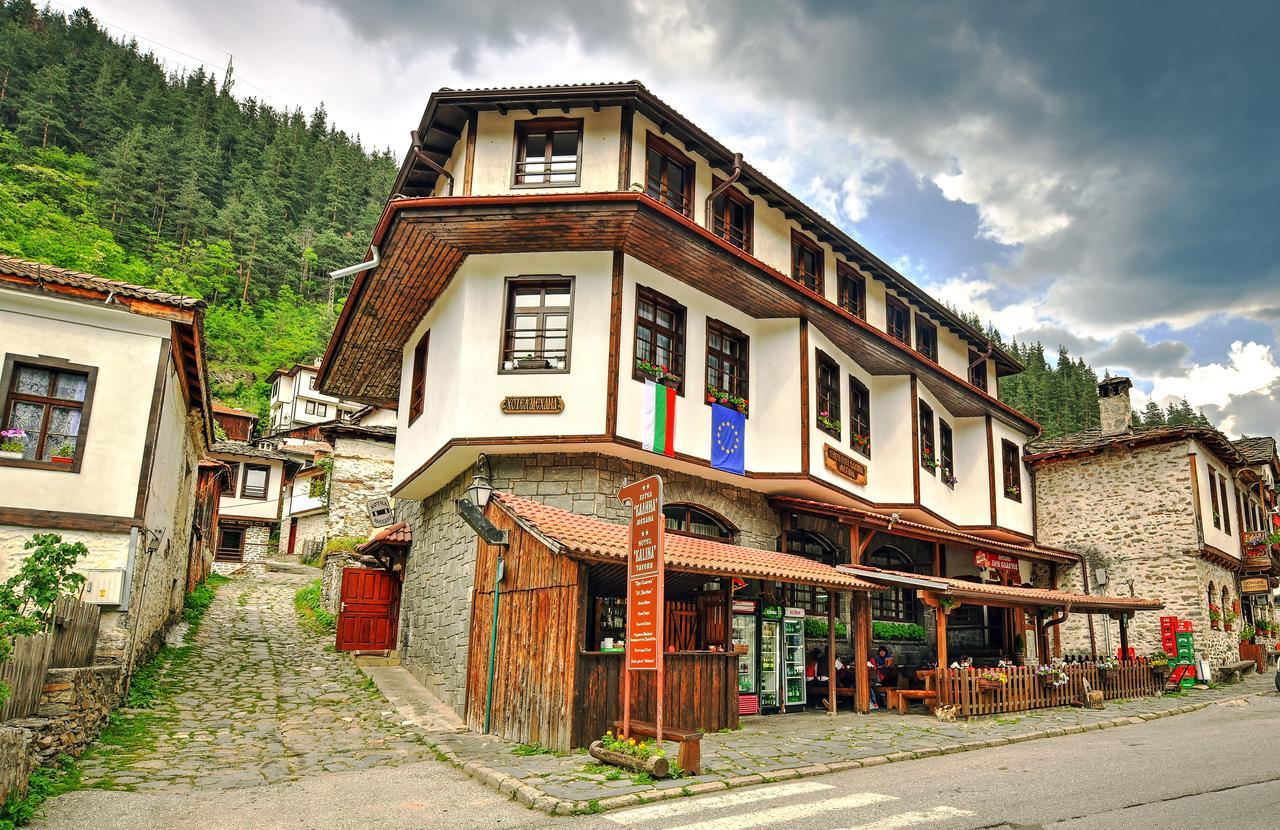 Hotel Kalina Shiroka Lŭka Εξωτερικό φωτογραφία